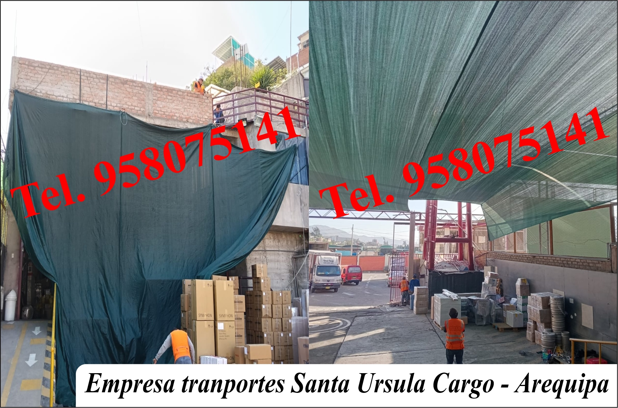 proyectos malla raschell